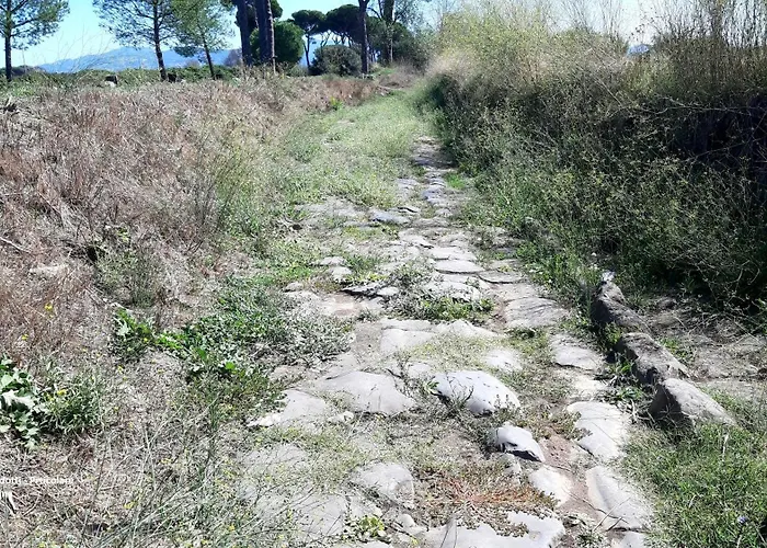 Vacanze Romane Affittacamere
